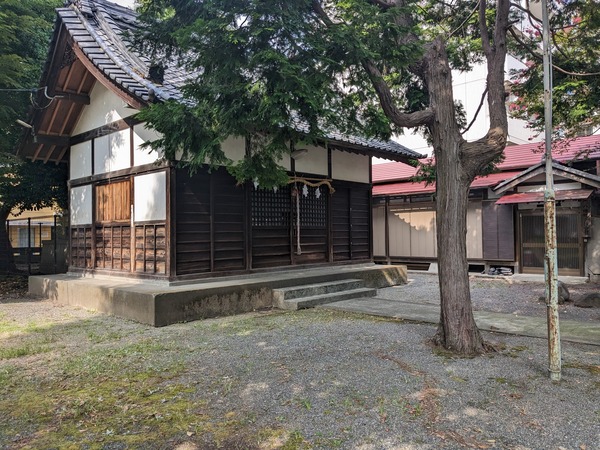 PXL_20230819_055734708