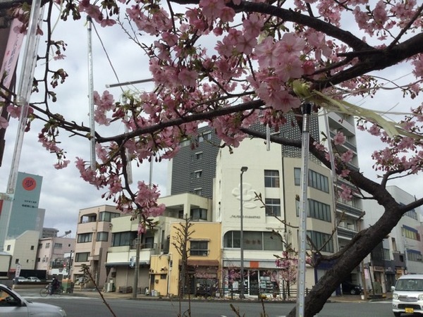 2AB0B164-4655-4432-9182-D26892D4D2BE