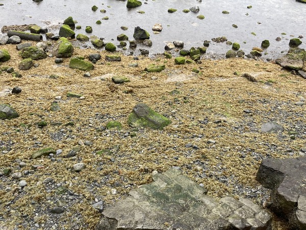 267CE78C-7893-40BB-8135-954A001D524C