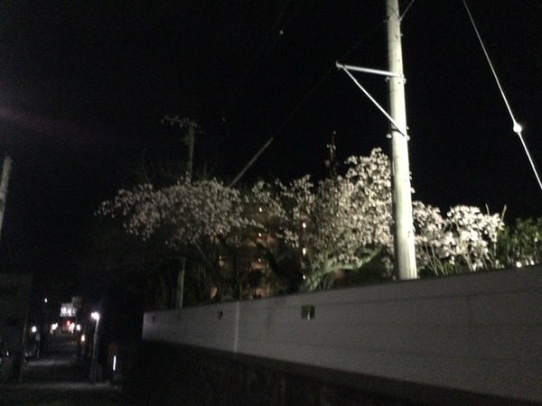 F8DB0534-0F07-446A-B7D3-89EC2F4867AC