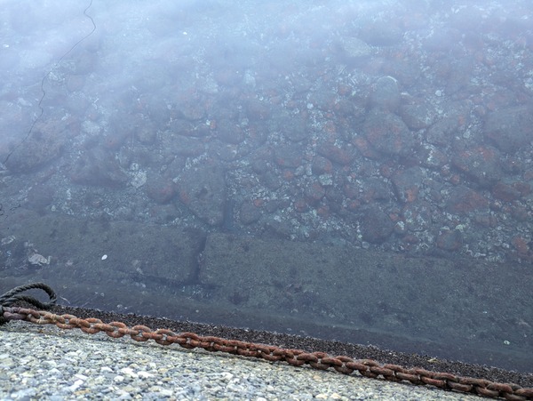 PXL_20231229_052509921