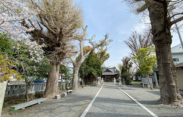 sengen06