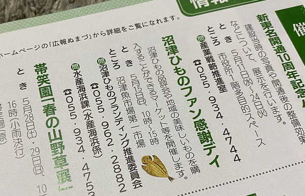 soro (4)
