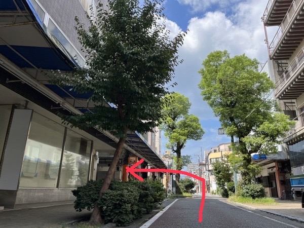 C44AA9E6-E404-4D4C-A1A7-D26130E61A0D