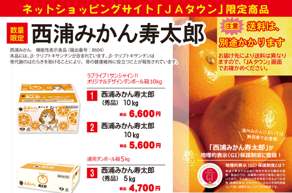 スクリーンショット 2024-06-20 133952