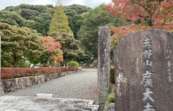 akeno09