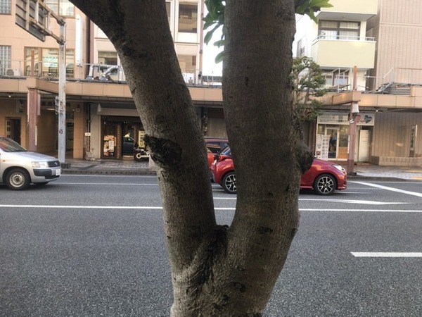 E16F1A7D-A029-4E63-95BD-B5CDA34B7D7B