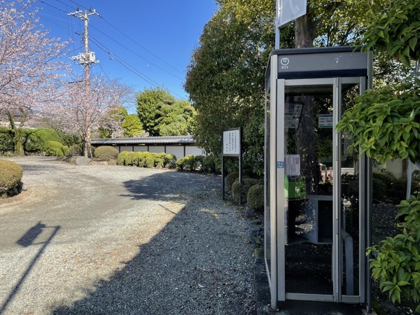 DD25C143-82B2-486B-8254-ED70CEB0246D