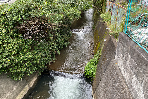 naizenbori (10)
