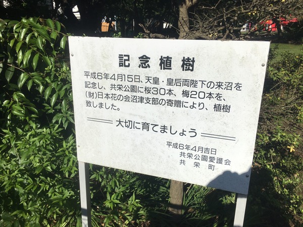 C9B2966C-FB5F-4793-B1C8-98961EE0C764