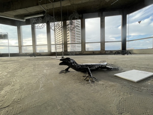 992890A6-3335-43BB-ACFB-D386693B8333