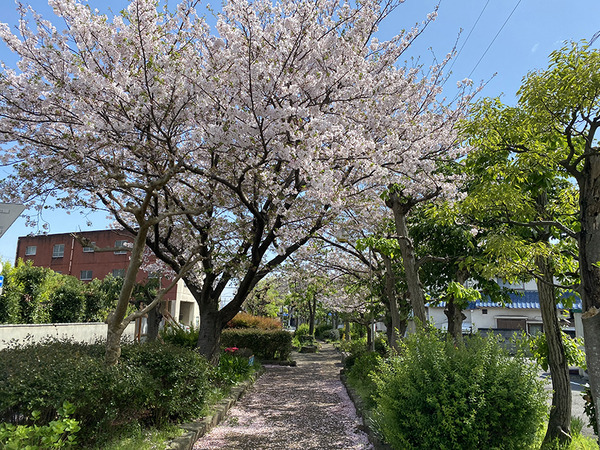 ja02