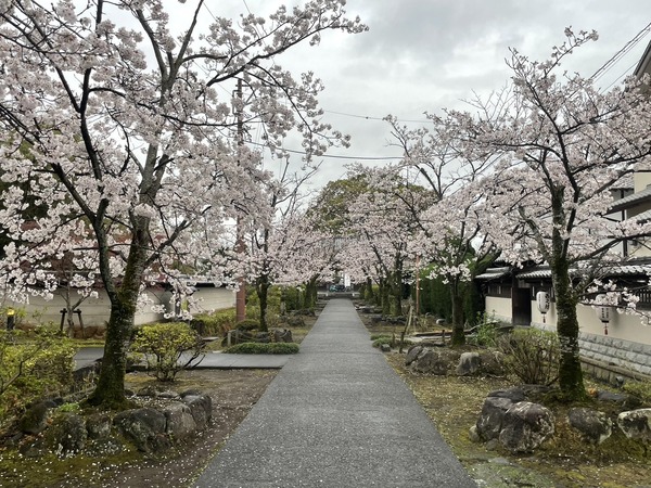 AD7965C2-219C-464A-88FF-98CA30C6CC52