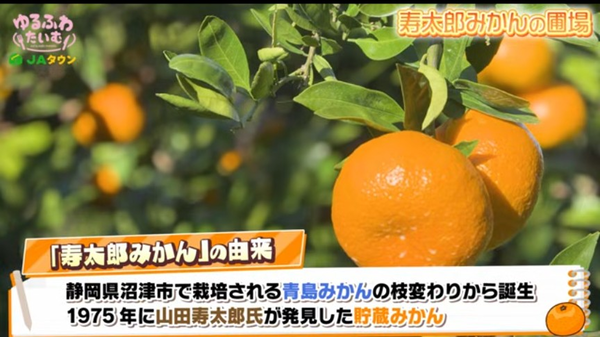 Screenshot_20260120-192251~2