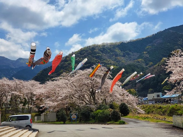 BG海洋センター
