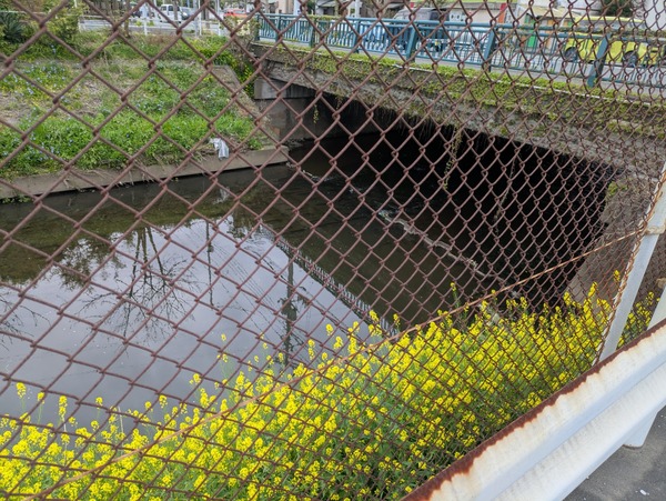 PXL_20250412_072011270