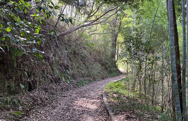 maruyama (2)