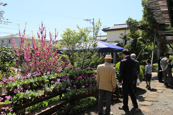 taisho01 (2)