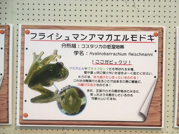 9918620D-26D4-43EE-8DA5-E093CA16EBE2