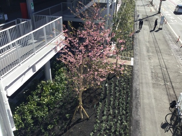 FA059D82-E15A-4B83-AED9-0AC8D37F88BF