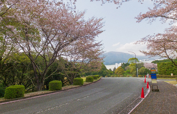 fujitsu-(1)