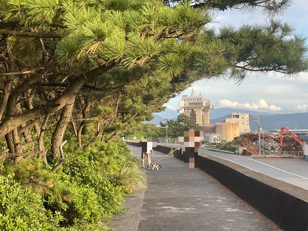 50FC3188-714C-4C0D-BE5D-C1BBB4A1A702