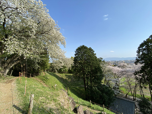 koukokuji (4)