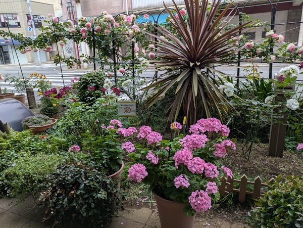PXL_20250516_061808674