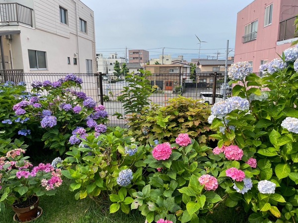 ABD1B98F-D027-4386-830B-BBE4DF1C5958