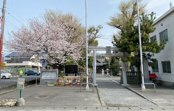 sengen02