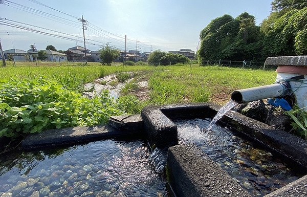 koukokuji (2)