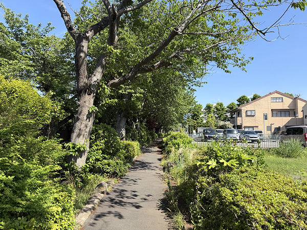 jamatsu (4)
