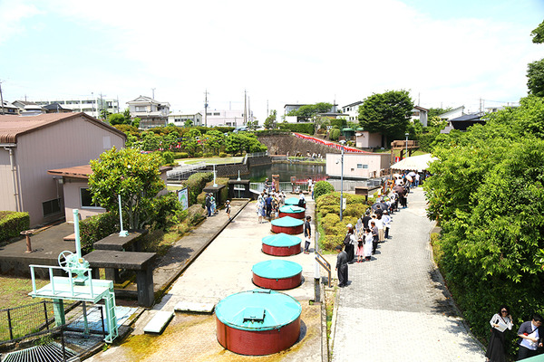 suigen (1)