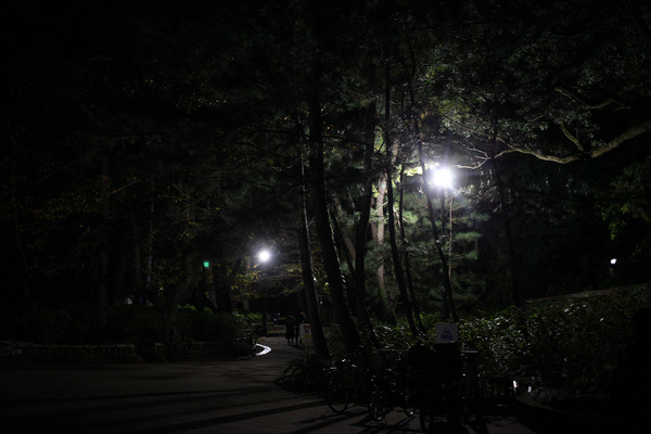 yoru