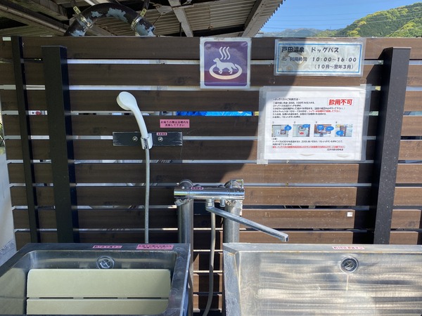 dog_onsen
