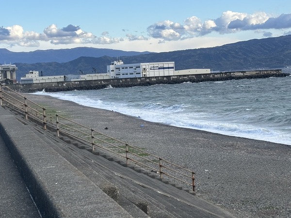 IMG_4619