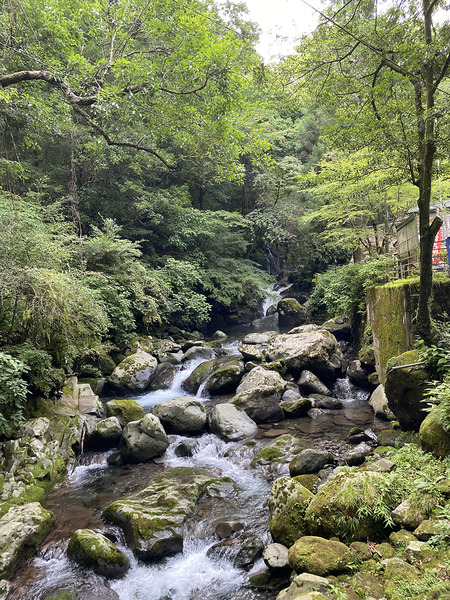 suijin (9)