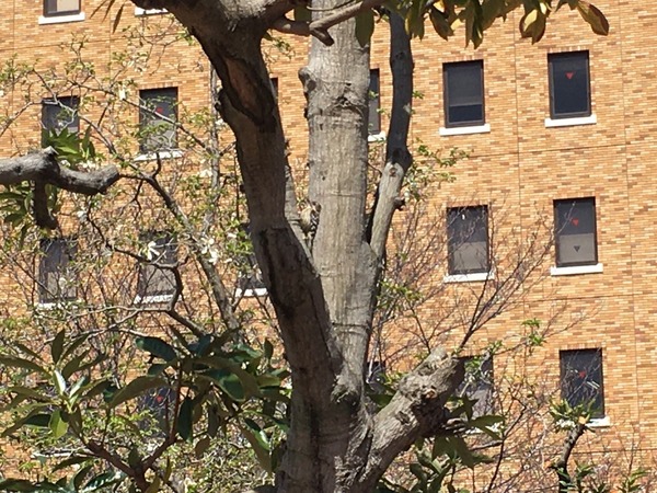 38B17D14-1AD9-480C-B378-9ECD4BE37856