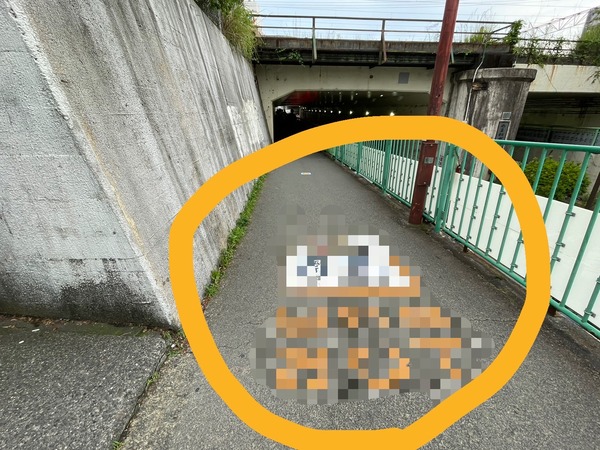 D04CE723-F6D4-487E-AB3C-F9C0D7FAE706