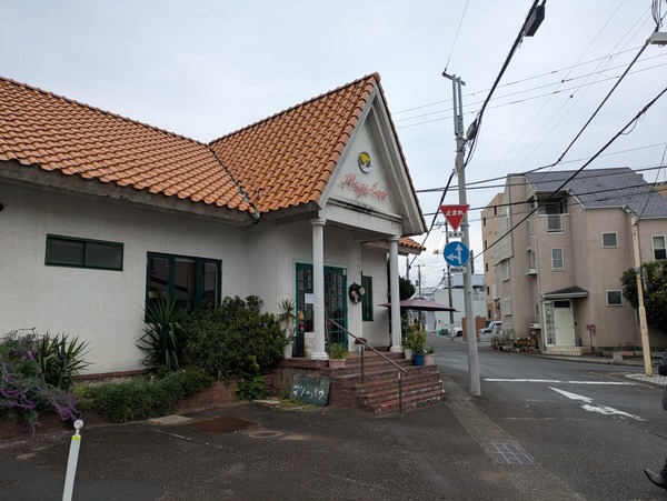 PXL_20251125_034319636