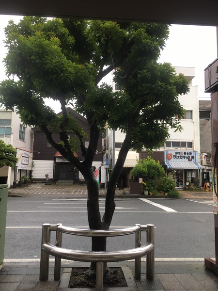 7E91C151-894C-4812-83DC-E4BC75F6B1AF