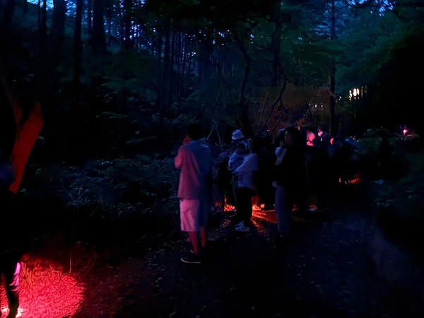 hotarumatsuri (8)