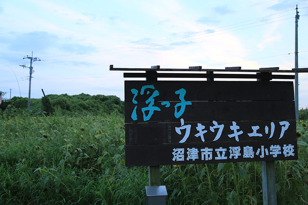 himawari (3)