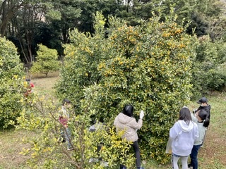 C9A750D1-F771-4E38-B283-A43B80E671C4