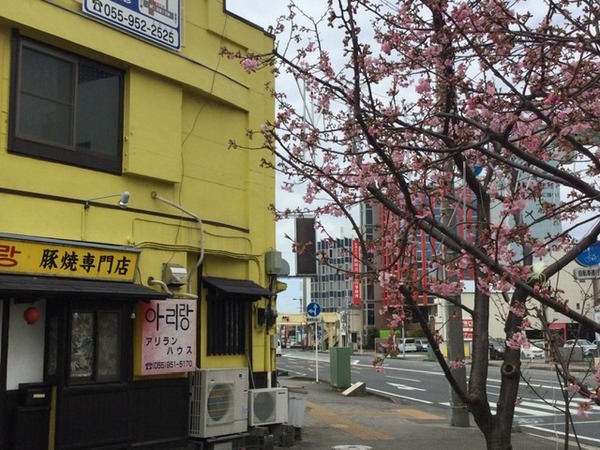 FF063C88-8D75-4BE6-BA14-C5D451C3F64B