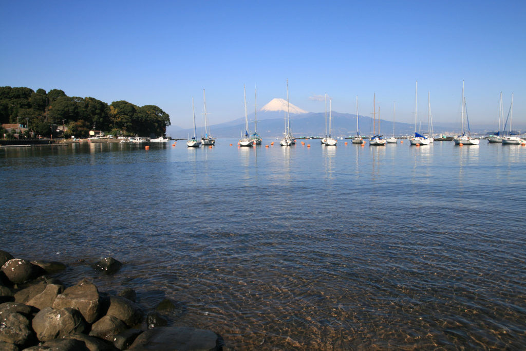 西浦の海
