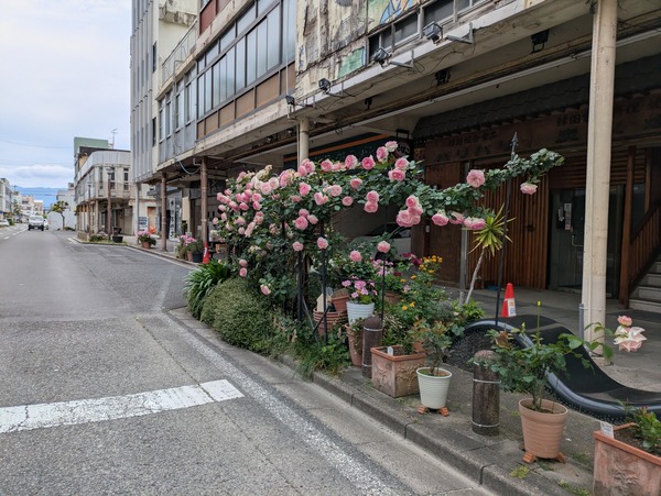 PXL_20250516_061742106