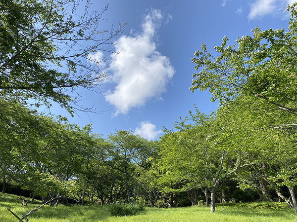 FUJITSU (6)
