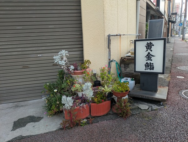 PXL_20250707_223251668