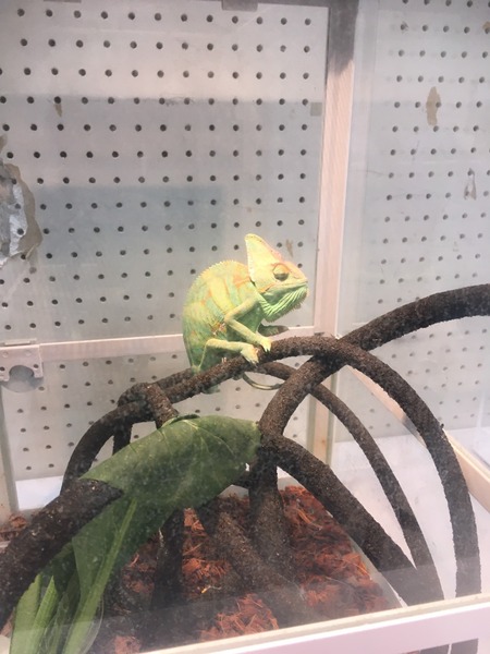 95515600-596C-4A16-8B1E-0BCDC8EDC4A1